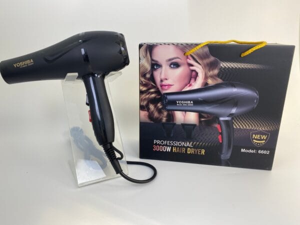 3000 watt professional blow dryer (1)