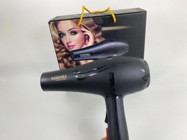 3000 watt professional blow dryer (2)