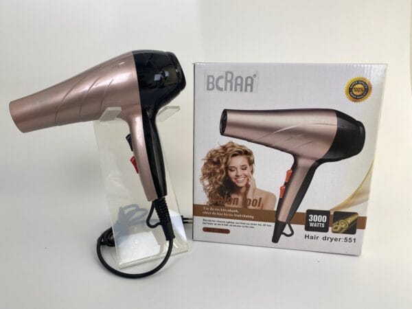 Beauty Salon Hair Dryer (1)