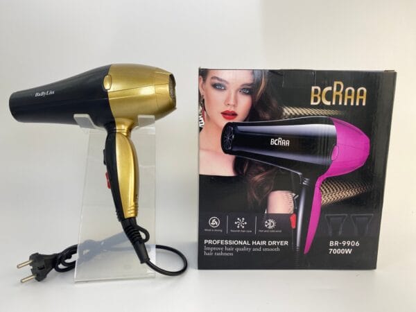 Professional Salon Blow Dryer (1)