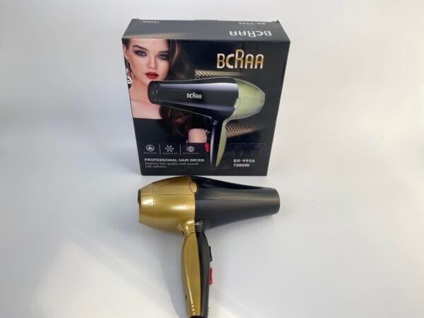 Professional Salon Blow Dryer (4)