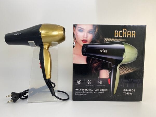 Professional Salon Blow Dryer (5)