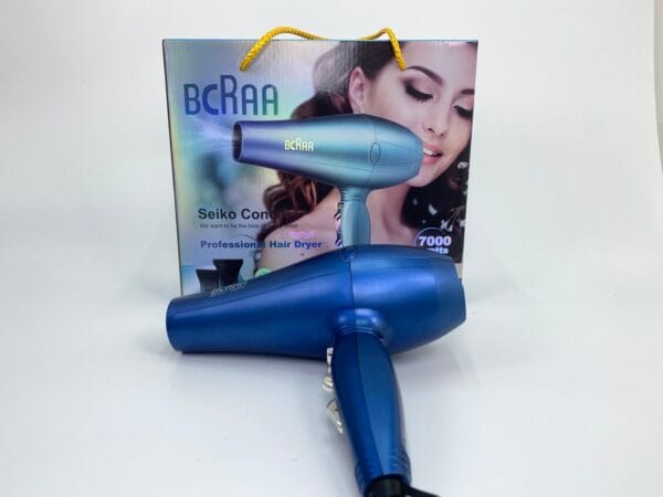 high power blue hair dryer (2)