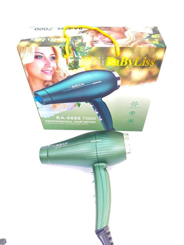 wholesale professional salon hair dryers (2)