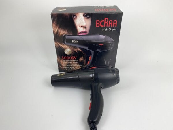 wholesale silent hair dryer (2)